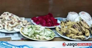 এলআরএফের ফল উৎসব