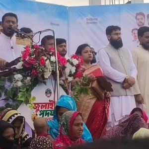 তারেক রহমানের পাঙখা গজাইছে, সব পাঙখা ভেঙে মাটিতে পড়ে যাবে: পাটওয়ারী