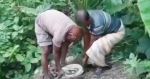 প্রত্যন্ত গ্রামে আখখেতে চোলাই মদের ‘কারখানা’, ধ্বংস করলেন স্থানীয় বাসিন্দারা