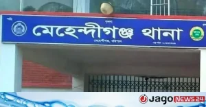 বরিশালে পুকুরের পানিতে ডুবে প্রাণ গেলো দুই শিশুর