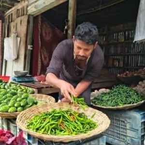 বাজারে কাঁচা মরিচে ‘আগুন’, এত দাম তো আগে দেখিনি